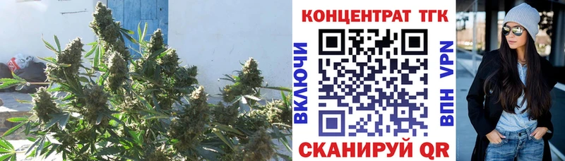 Купить  Калач  ТГК Wax 